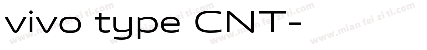 vivo type CNT字体转换